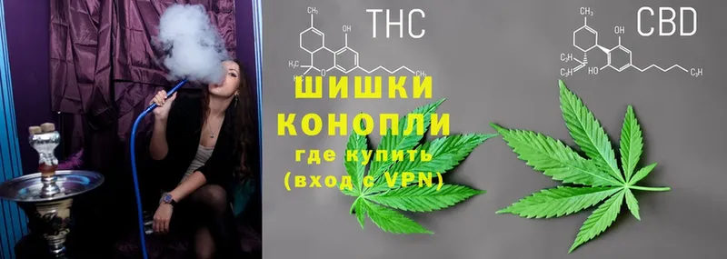 где продают   Всеволожск  Марихуана OG Kush 